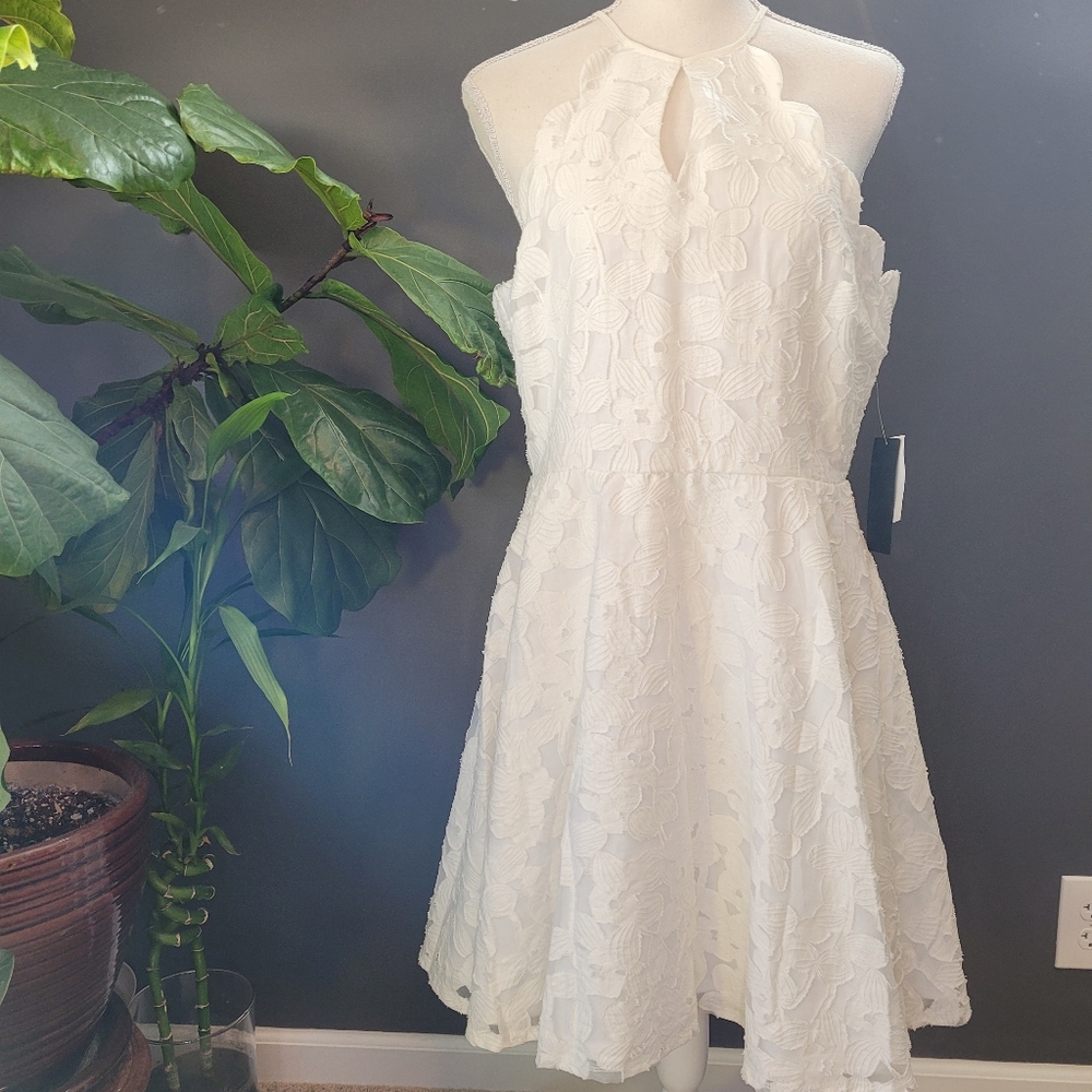 NWT White Lace Floral Patterned Dress